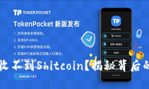 为何你的TP钱包收不到Shitcoin？揭秘背后的原因与解决方案
