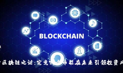 思考

揭开区块链之谜：究竟哪个币能在未来引领投资风潮？