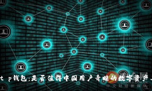 揭秘t p钱包：是否值得中国用户青睐的数字资产工具？