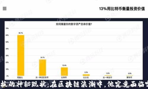 
TP钱包老板的神秘现状：在区块链浪潮中，他究竟面临哪些挑战？