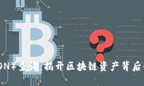 波场币（TRON）查询：揭开区块链资产背后的神秘面纱