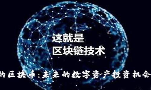 未上公链的区块币：未来的数字资产投资机会还是风险？