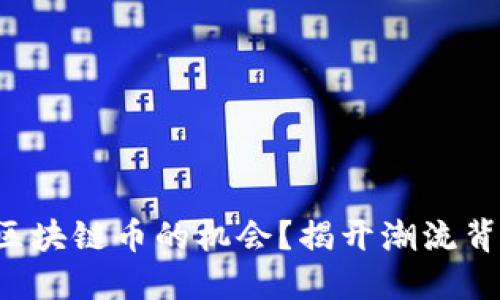 如何抓住区块链币的机会？揭开潮流背后的秘密！