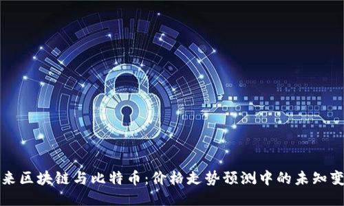 未来区块链与比特币：价格走势预测中的未知变数
