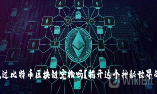 你听说过比特币区块链宠物吗？揭开这个神秘世界的面纱！