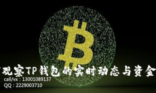 如何观察TP钱包的实时动态与资金流向
