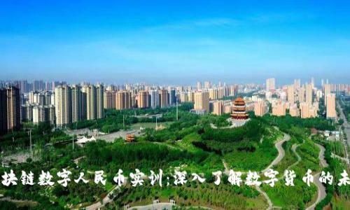 区块链数字人民币实训：深入了解数字货币的未来