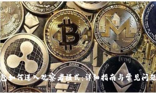 TP钱包如何进入观察者模式：详细指南与常见问题解答