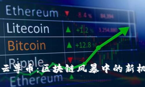 深入探讨云尊币：区块链风暴中的新机遇与挑战
