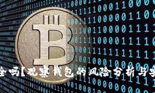 TP钱包安全吗？观察钱包的风险分析与安全性评估
