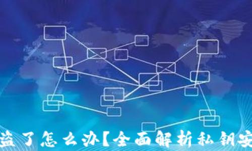 
TP钱包私钥被盗了怎么办？全面解析私钥安全与恢复策略