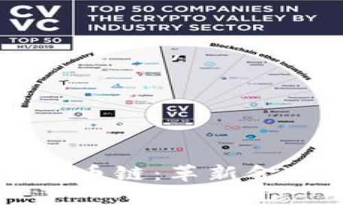 区块链与数字货币链：革新金融与技术的未来