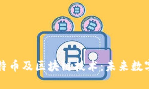 深入了解比特币及区块链技术：未来数字资产的蓝图