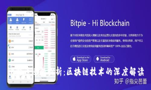 比特币逆向探析：区块链技术的深度解读